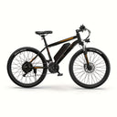  Orange Pro(10.4Ah BAT 749W P)