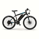  Blue Pro(48v 10.4Ah BAT )